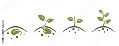 Plant growth from seed to tree. plant sprout icons. seed germination and planting symbol