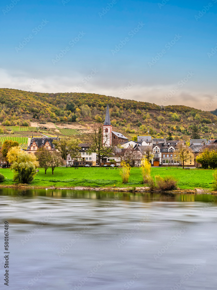 Obraz premium Bruttig-Fankel village on moselle river and vineyards during autumna in Cochem-Zell, Germany