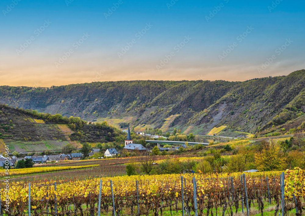 Bruttig-Fankel village and steep vineyards during autumn in Cochem-Zell, Germany