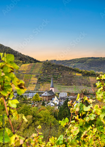 Bruttig-Fankel village houses  church and steep vineyards during autumn in Cochem-Zell  Germany