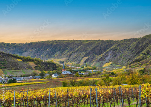 Bruttig-Fankel village and steep vineyards during autumn in Cochem-Zell  Germany