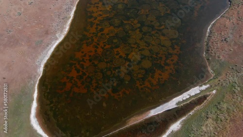 Aerial view of Spotted Lake in Osoyoos British Columbia Okanagan Valley on Hot Summer Day