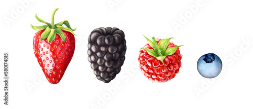 Set of berries: strawberry, blackberry, raspberry, blueberry isolated on transparent background, PNG. Hand drawn watercolor illustration.   © Oleksandra