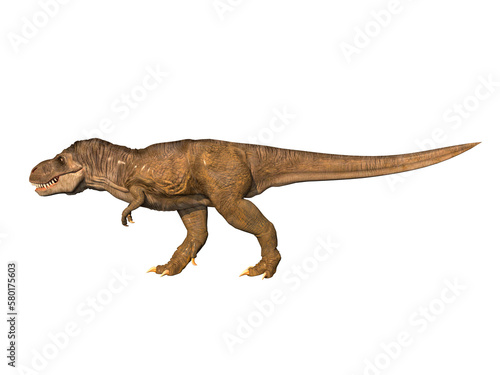 tyrannosaurus rex © Ifdal