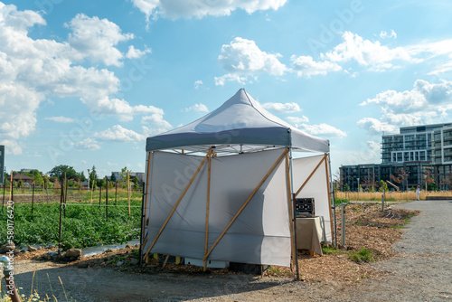 Self checkout or self service farm organic produce vegetable business model in Toronto city. Tent with fresh veggies. Self pick up or pick your own and pay. Self sustained gardening system. © desertsands
