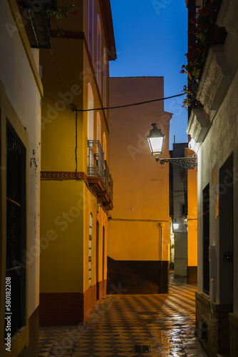 scenic alley in the old town of Seville  Spain  at night