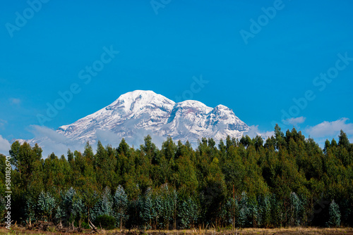 chimborazo visto desde carretera con cielo nublado y arboles 