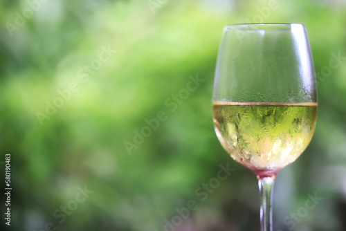 white wine tasting, chilled ice wine in a cold glass in summer