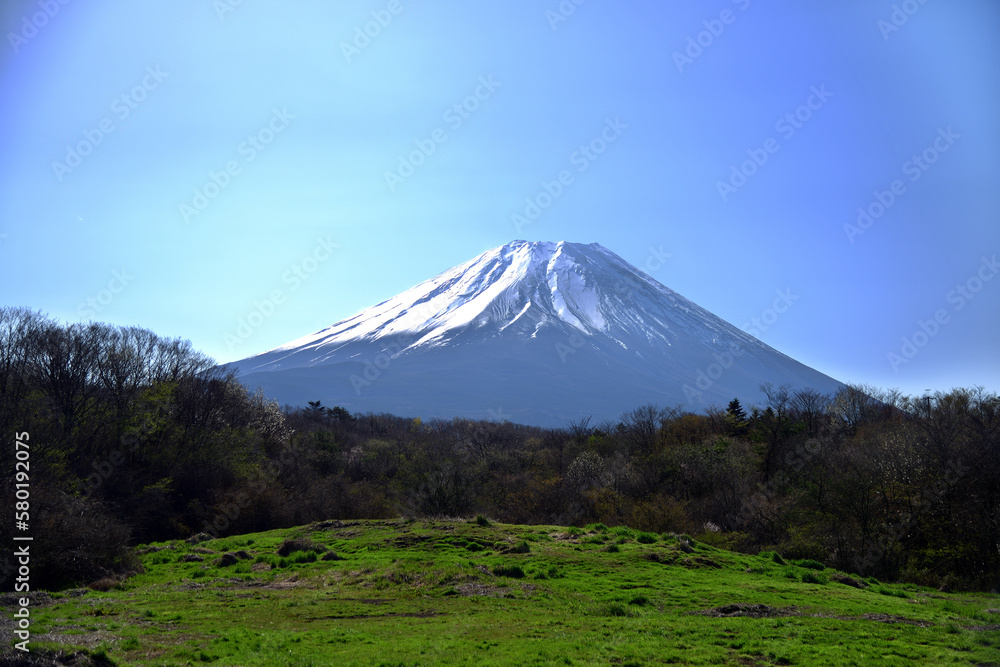 草原と雪をかぶった富士山