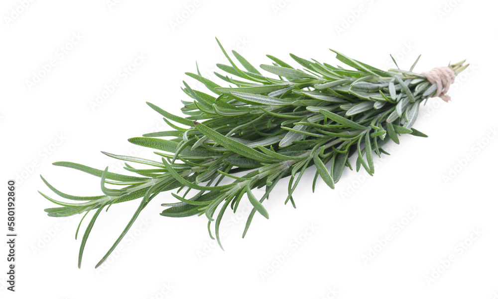 Fototapeta premium Fresh rosemary twigs tied with twine isolated on white