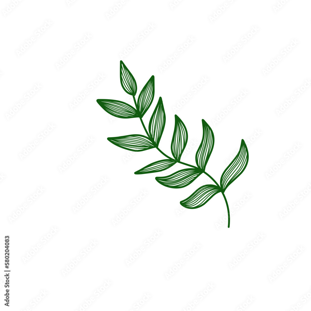 Obraz premium branch with leaves