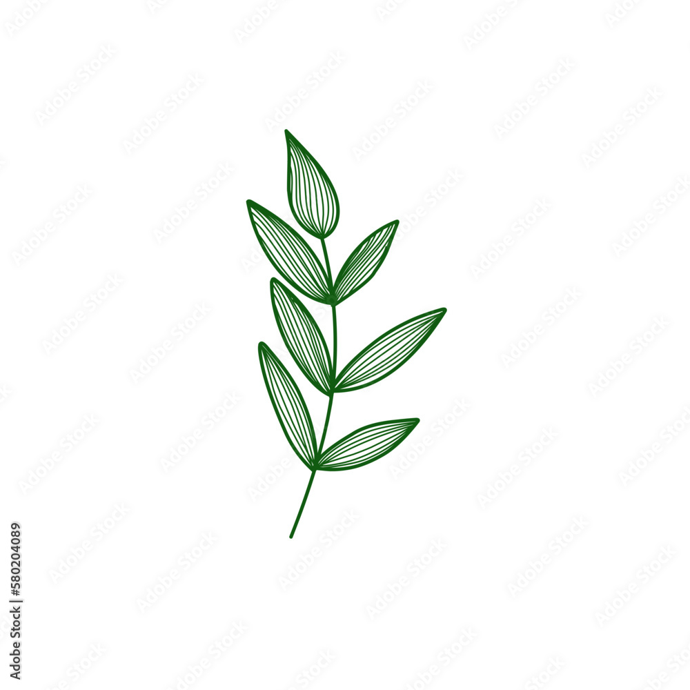 Fototapeta premium Green leaves