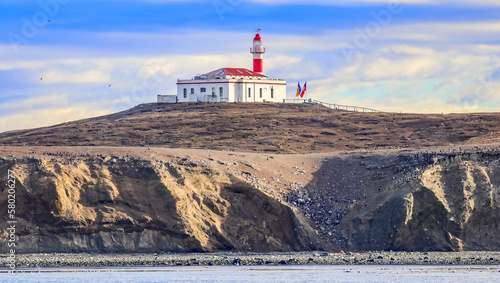 Magdalena Island, Punta Arenas, Chile photo