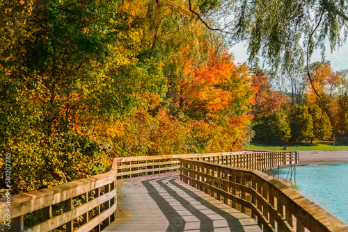 bridge in autumn park, Milton,Ontario,Canada photo