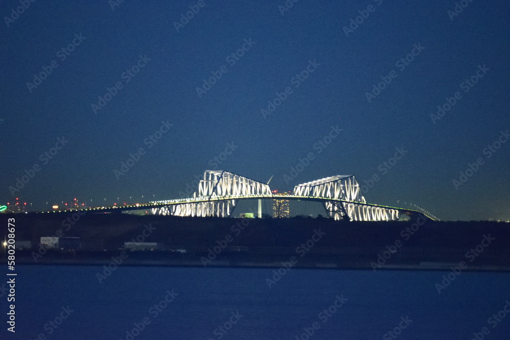 Obraz premium 東京ゲートブリッジ