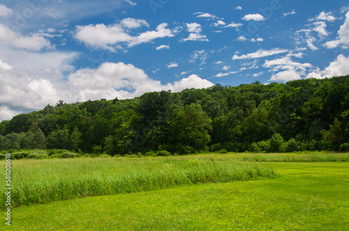 sunnybrook state park summer landscape