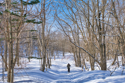 Wallpaper Mural 森の中でスキー Torontodigital.ca