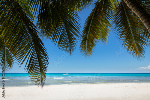 Tropical beach in caribbean sea  idyllic Saona island  Dominican Republic