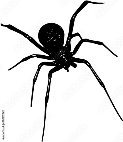 Spider silhouette with long legs