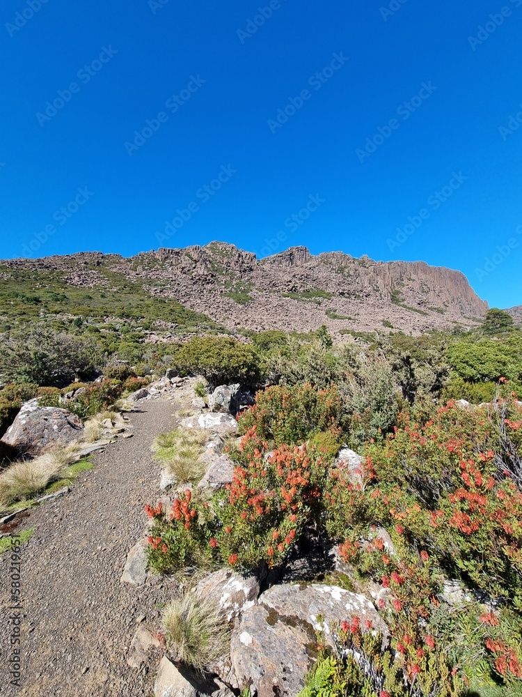 Ben Lomond mountain national park in Tasmania on the sunny day
Ben Lomond mountain national park in Tasmania on the sunny day