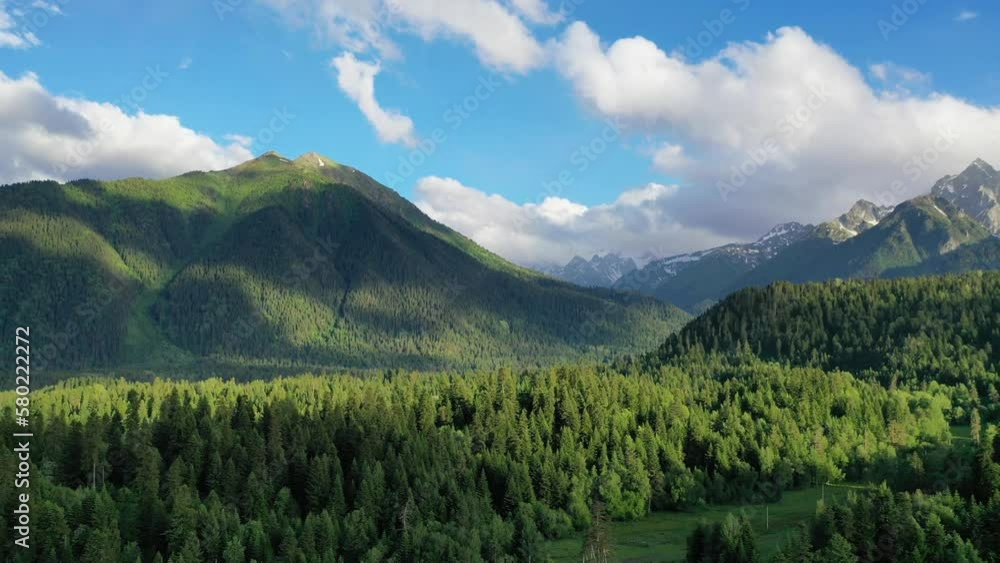 view from a height of a green forest, snow-capped mountain peaks. Wonderful panoramic view of the national park. Aerial view view from a height of a green forest, snow-capped mountain peaks. Wonderful panoramic view of the national park. Aerial view