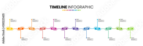 Timeline calendar infographic template 12 months, 1 year. Presentation elements with 12 options or steps.
