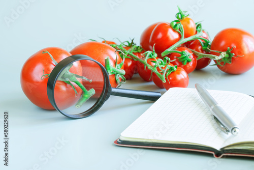 Fresh red tomatoes, different varieties and sizes, next to magnifier, pen and notepad. Concept of comparing and analyzing the quality of tomato of different varieties. Selective focus