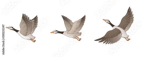 Vector illustration material of flying wild geese