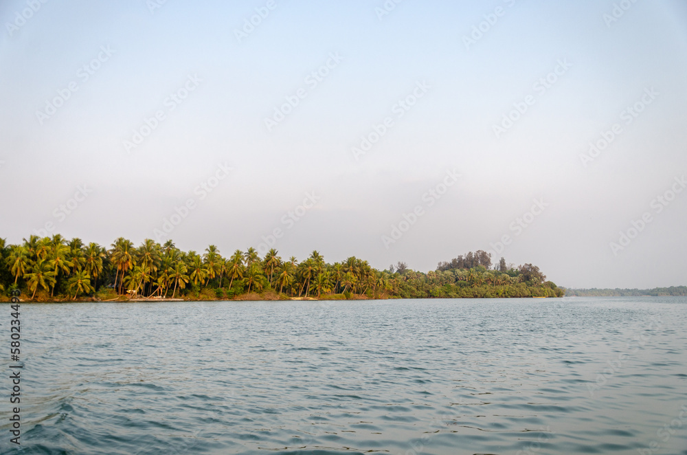 Backwaters of Kemmanu delta