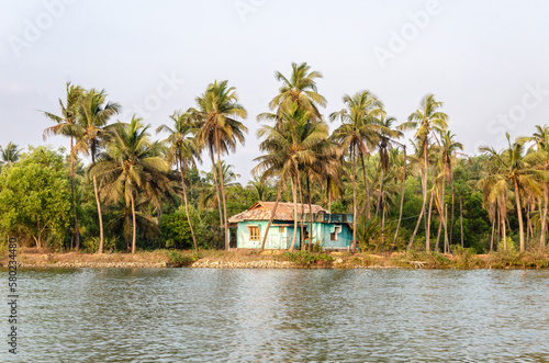 Backwaters of Kemmanu delta photo