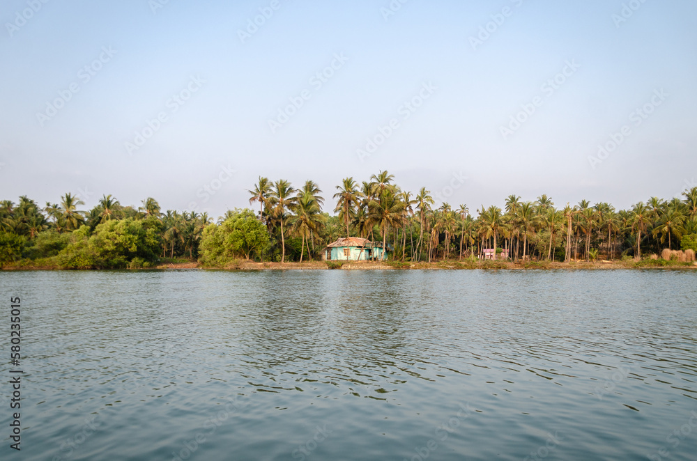 Obraz premium Backwaters of Kemmanu delta