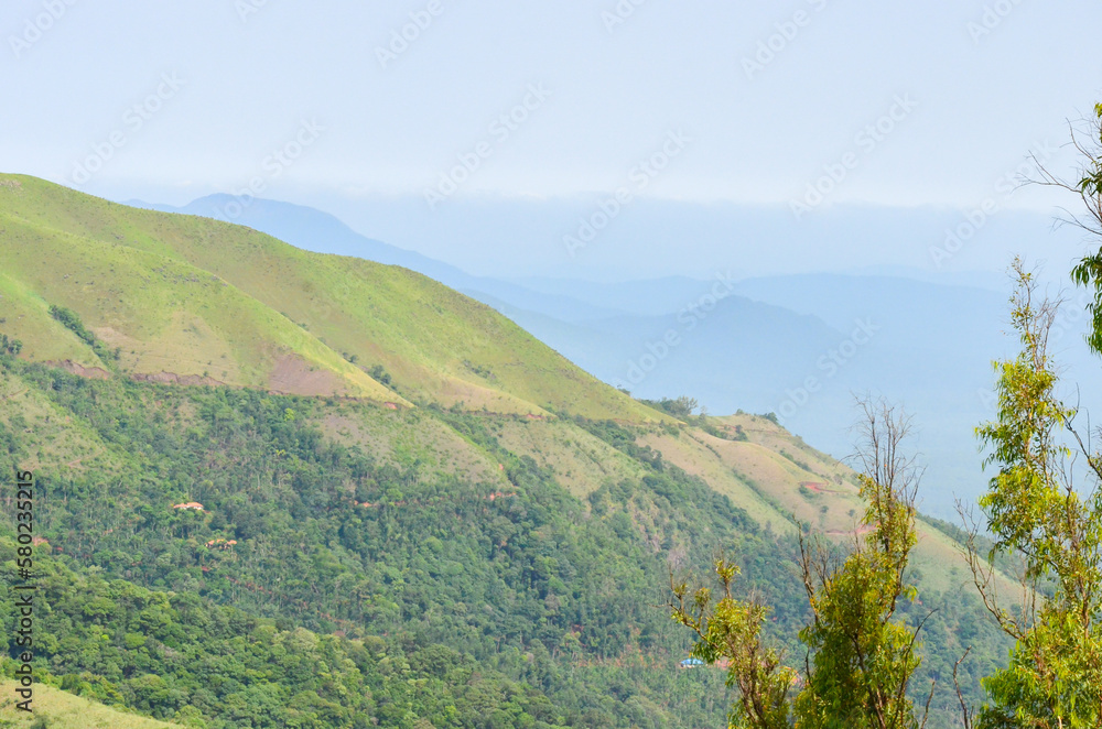 Fototapeta premium Mullayangiri range of mountains in Chikmagalur, India
