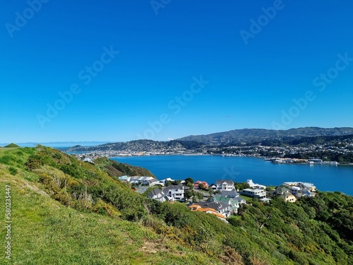 Wellington harbour from above in summer