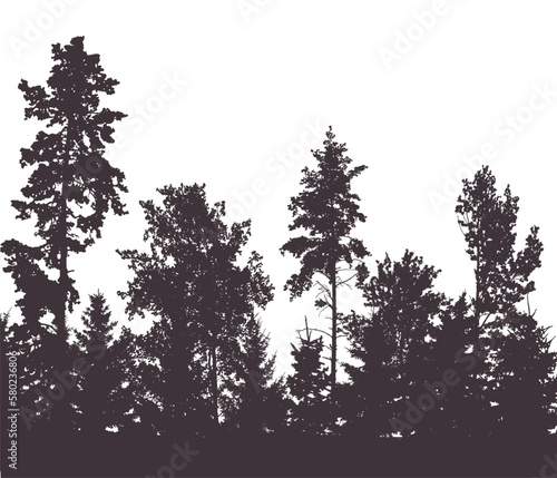 Beautiful forest, silhouette of firs, pines and different deciduous trees. Vector illustration. © nosyrevy
