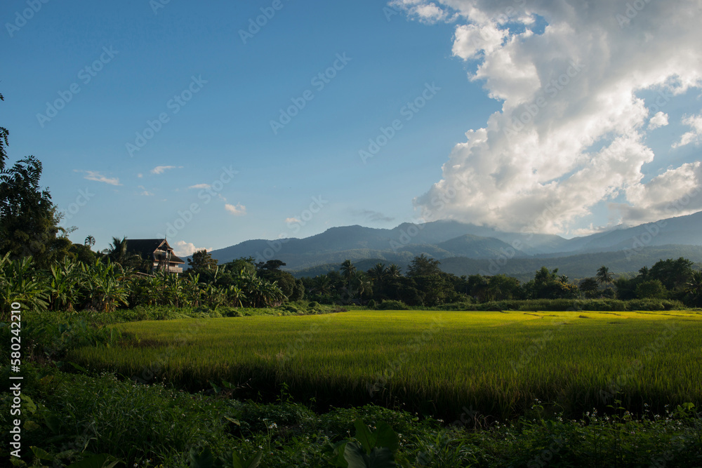 Scenic view of field by mountains against cloudy sky Scenic view of field by mountains against cloudy sky