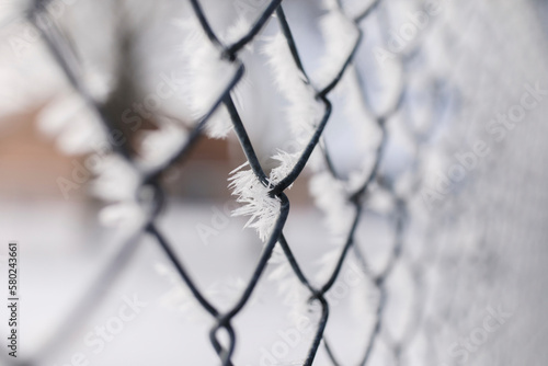 Close-up of frosted chainlink fence photo