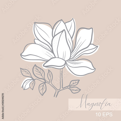 Vector graphic linear illustration of a sprig of magnolia flowers