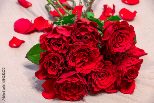Bouquet of red roses close-up