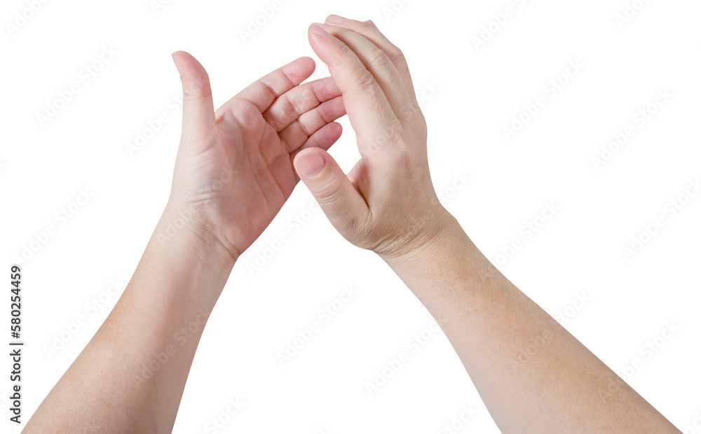 Woman hands applause isolated Woman hands applause isolated