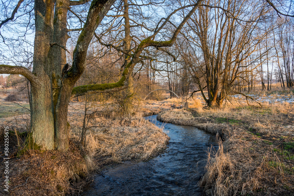 Spring River stream crinkling on meadow in sunset Spring River stream crinkling on meadow in sunset
