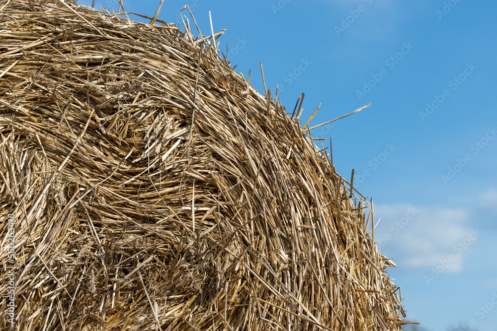 straw bales in the field, agriculture, background, haystack straw bales in the field, agriculture, background, haystack