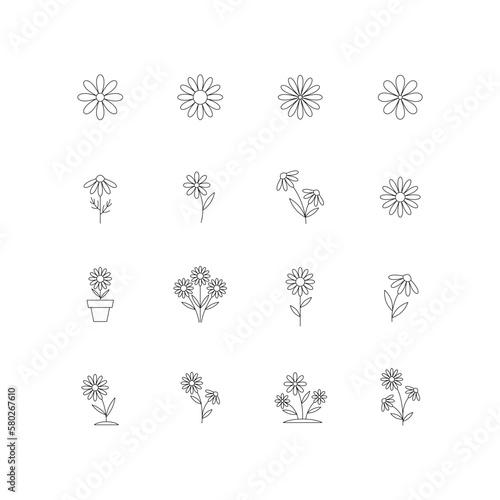 Set of flower icons. Chamomile. Line style. Collection of  floral design elements. Vector illustration. 