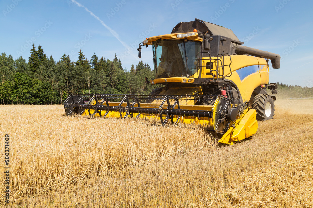Fototapeta premium Harvesting with combines
