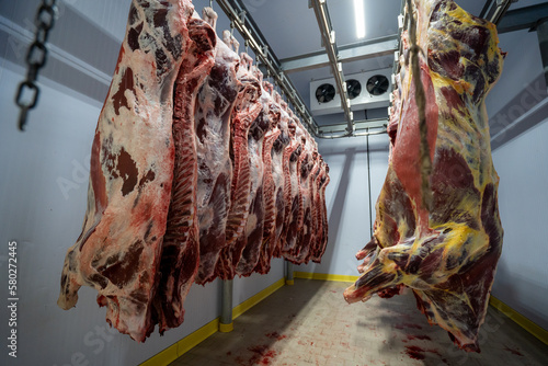 A lot of meat carcasses in the car refrigerator