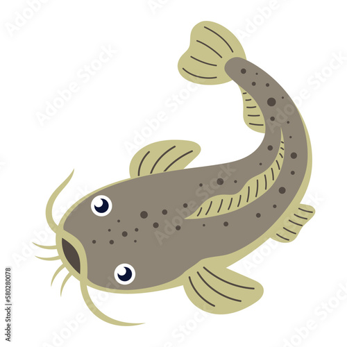 vector illustration of catfish isolated on white