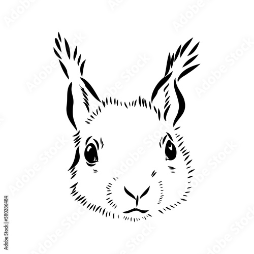 Hand drawn squirrel. Retro realistic animal isolated. Vintage style. Doodle line graphic design. Black and white drawing mammal. Vector sketch. Christmas animal.
