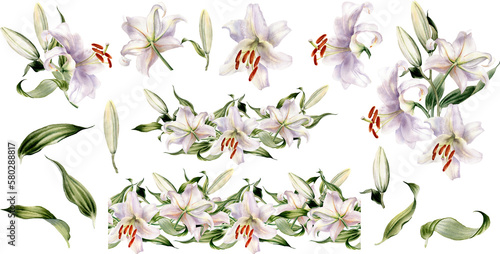 Photographie Lily flower clipart