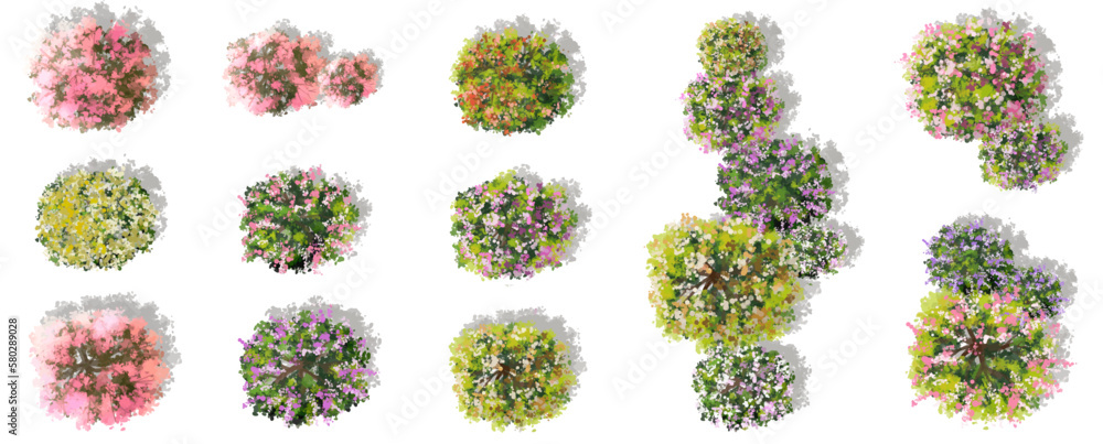 Vector watercolor of blooming tree top view isolated on white background for landscape plan and architecture drawing, elements for environment and garden,exterior elements ,blooming flowers in spring