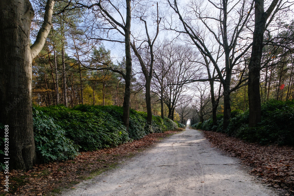 Nature reserve Sallandse Heuvelrug