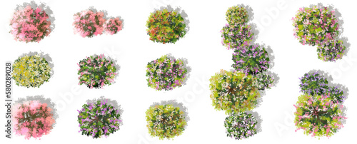 Vector watercolor of blooming tree top view isolated on white background for landscape plan and architecture drawing, elements for environment and garden,exterior elements ,blooming flowers in spring